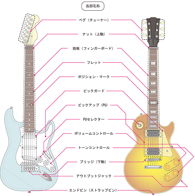ギター・ベースの構造を徹底解説！ | 音楽・芸能・声優・楽器について  